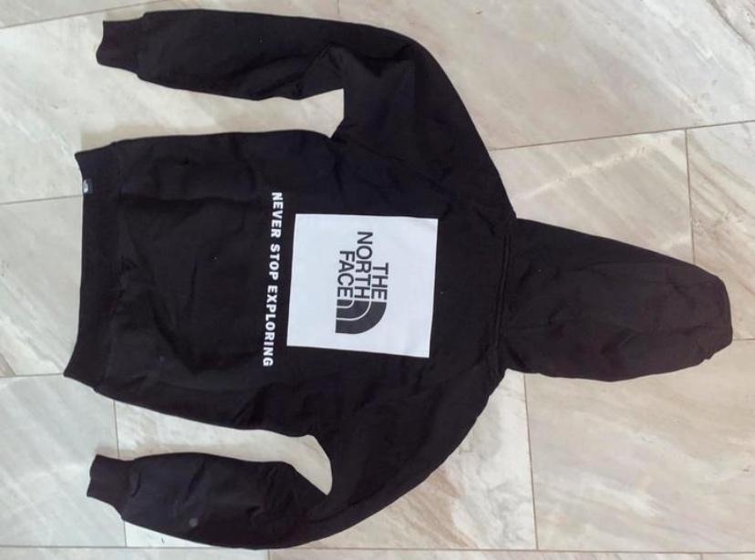 The north face trui hoodie sweater nieuw small, Kleding | Heren, Truien en Vesten, Ophalen of Verzenden, Nieuw, Maat 46 (S) of kleiner