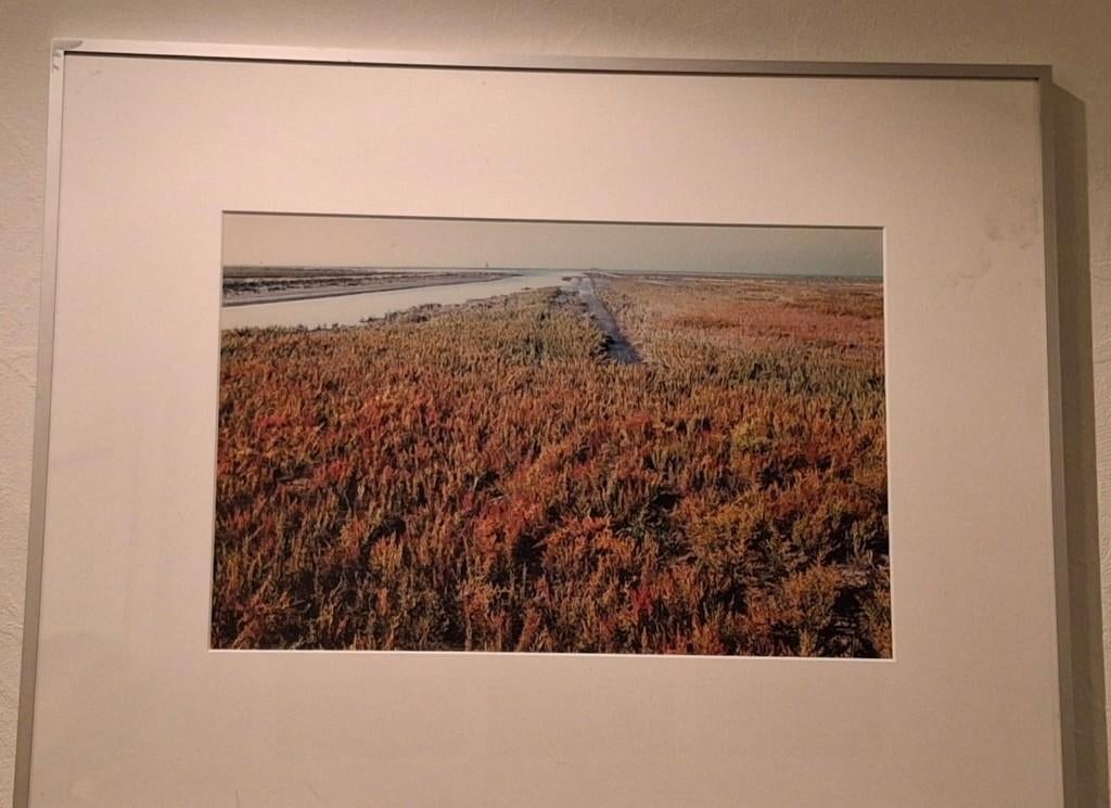 Wadden natuur foto's, Minder dan 50 cm, Gebruikt, Ophalen of Verzenden, Foto of Poster