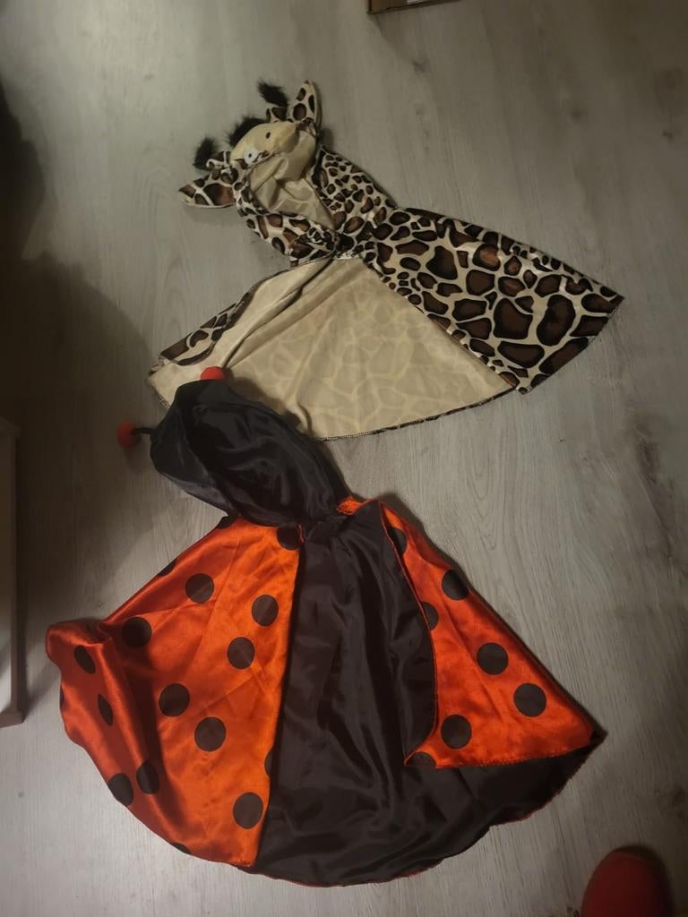 Carnavals pak: Giraffe en Lieveheersbeestje - Maat 80-98, Kinderen en Baby's, Carnavalskleding en Verkleedspullen, Ophalen of Verzenden