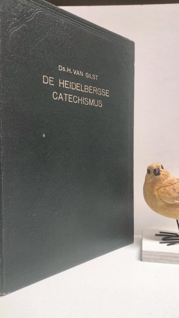 Gilst, Ds. H. van; De Heidelbergse Catechismus, Ophalen of Verzenden, Gelezen, Christendom | Protestants