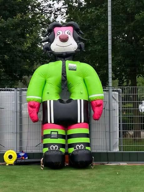 Te Huur; Voetbal Leeuw, Ophalen, Zo goed als nieuw, Overige