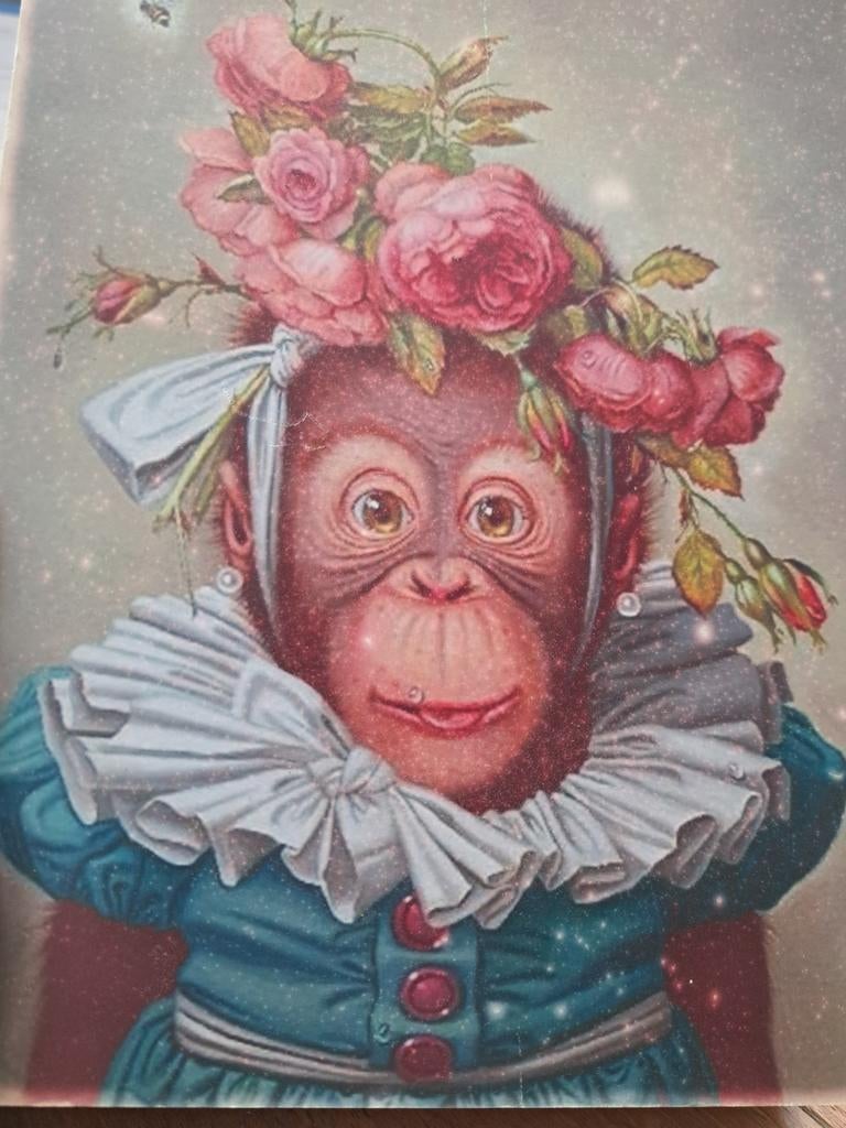 Wanddecoratie gorilla set, Ophalen of Verzenden, Zo goed als nieuw