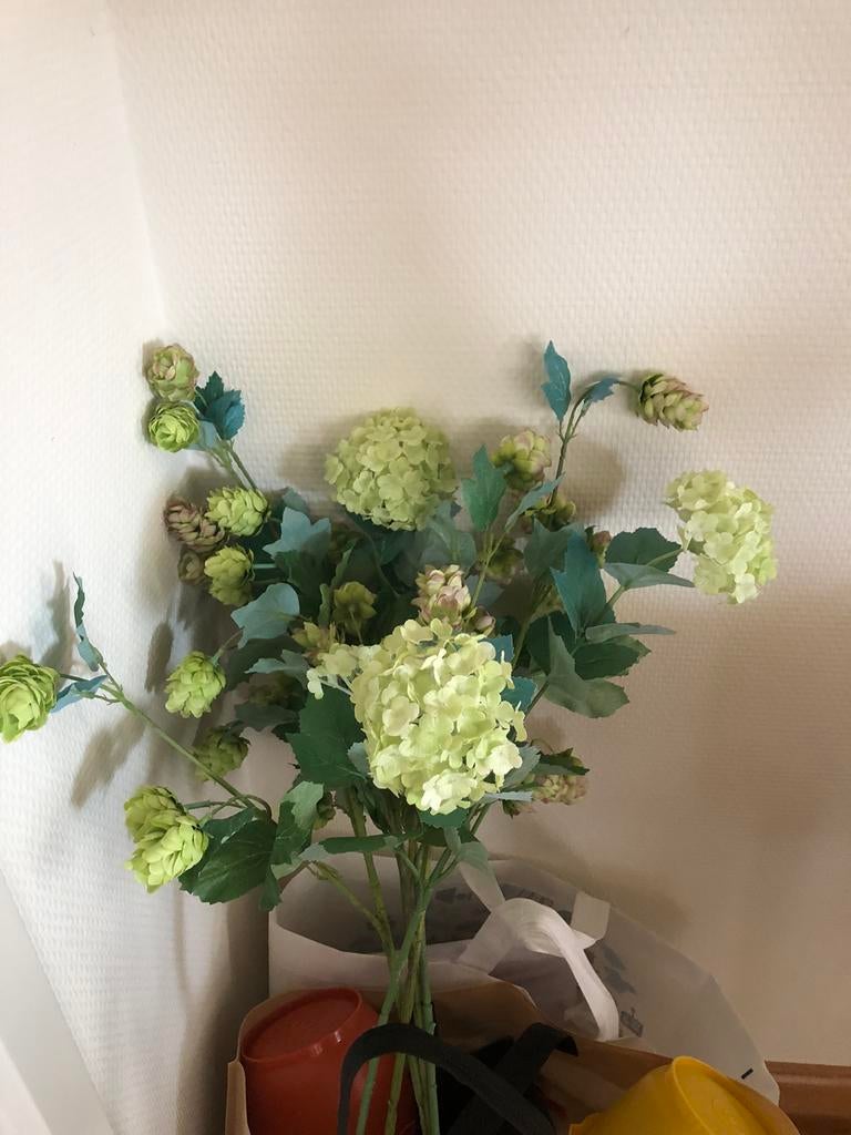 Kunstbloemen, Ophalen, Zo goed als nieuw