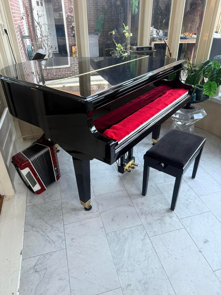 GEORGE STECK - ZELFSPELENDE VLEUGEl, Zwart, Ophalen of Verzenden, Zo goed als nieuw, Hoogglans