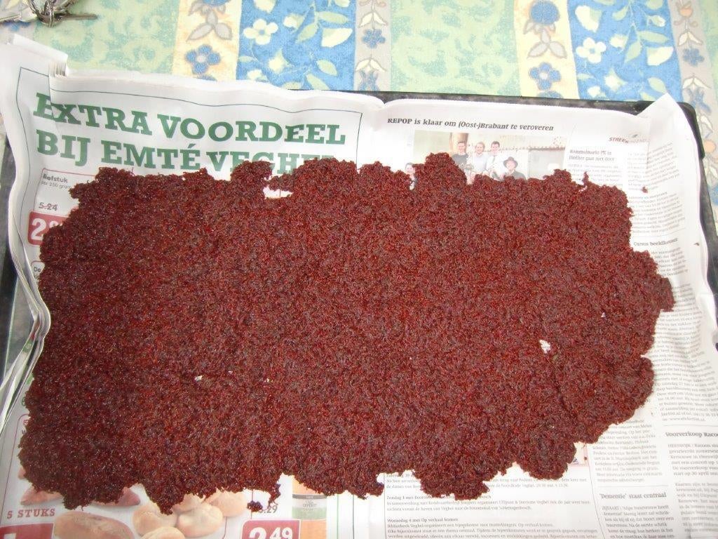 verse rode en witte muggenlarven, tubifex, Dieren en Toebehoren, Overige typen, Zoetwatervis