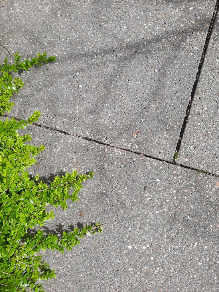 Gratis tegels 90 x 60 grijs, Ophalen, Gebruikt, Beton, Terrastegels