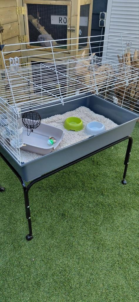 Knaagdieren kooi konijn cavia, Dieren en Toebehoren, Kooi, 110 cm of meer, Zo goed als nieuw, Konijn