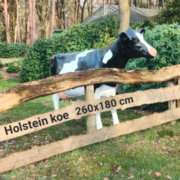 Polyester koe, Holstein Friesian koe beeld, koeien, runderen, Ophalen, Nieuw, Kunststof, Dierenbeeld
