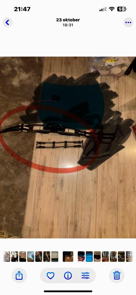 Longeer / voltige singel, Ophalen of Verzenden, Zo goed als nieuw, Overige soorten