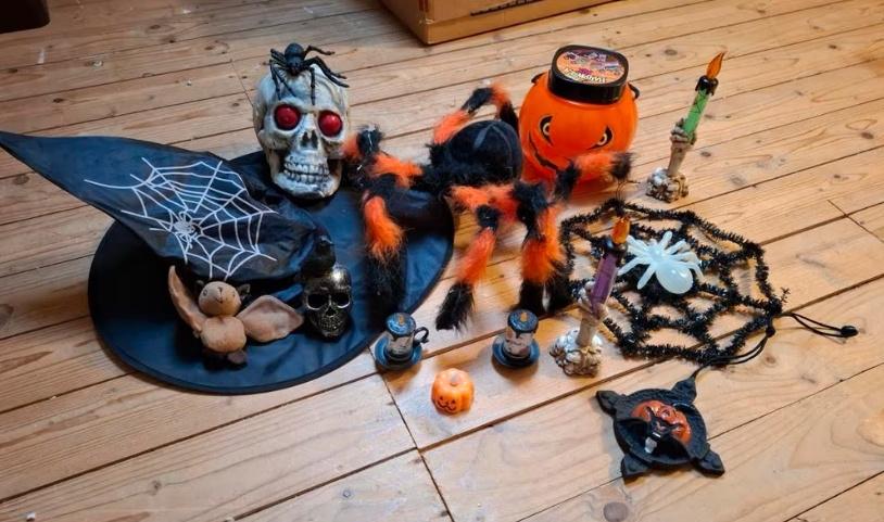 Halloween feestartikelen te koop!, Ophalen, Gebruikt, Feestartikel, Halloween of Griezel