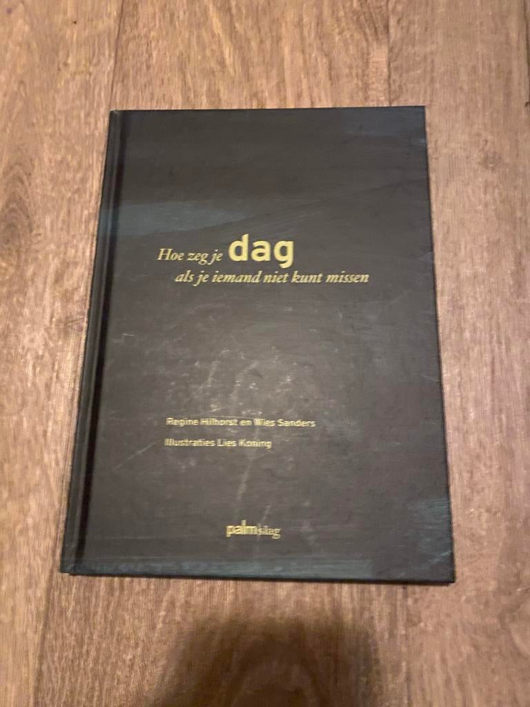 Hoe zeg je dag als je iemand niet kunt missen - Regine Hilho, Boeken, Ophalen of Verzenden, Zo goed als nieuw, Nederland