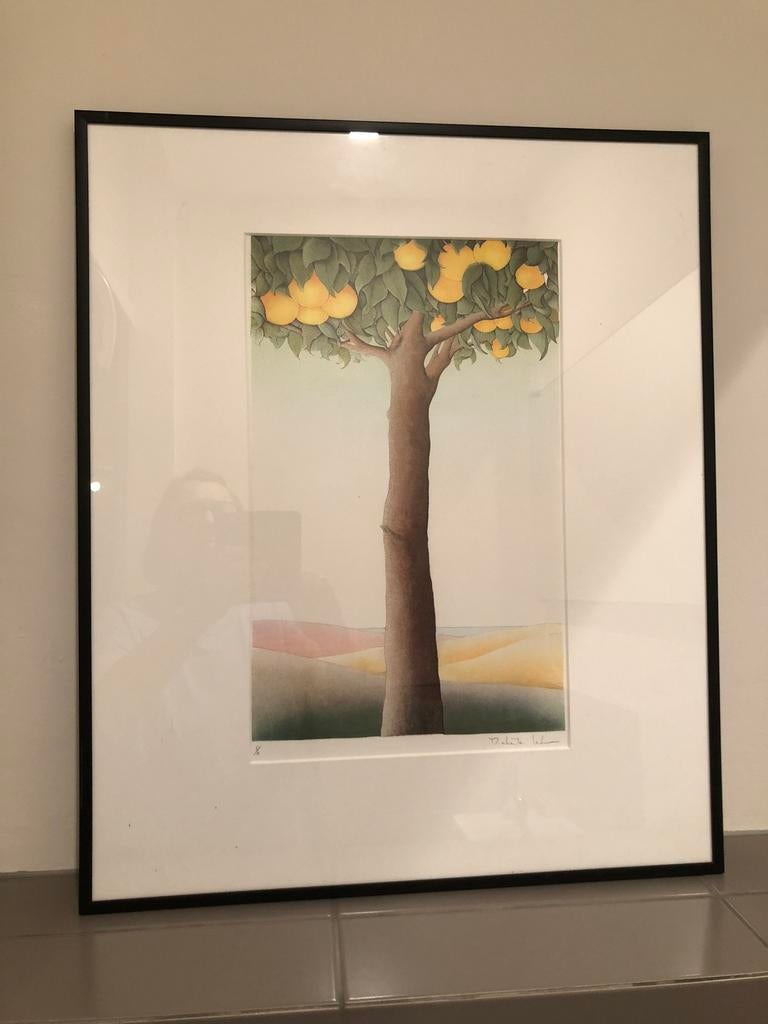 Michele Lehmann steendruk, Ophalen of Verzenden