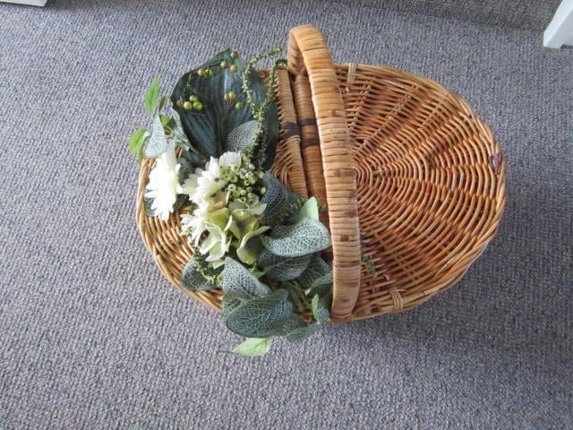 Witte duiven TE HUUR 2 voor 15 euro, Meerdere dieren, Postduif