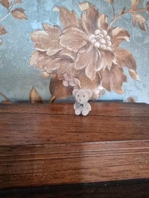 Klein beertje van 2 cm, Ophalen of Verzenden, Nieuw, Stoffen beer, Overige merken