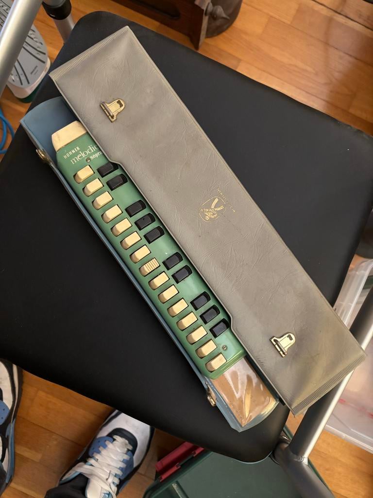 Hohner Melodica Mondfluit met hoes, Ophalen, Gebruikt, Houtblazer, Met koffer of draagtas