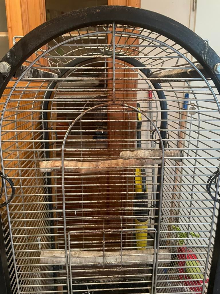 Papagaaien kooi met extra attribuut voor buiten de kooi, Dieren en Toebehoren, Ophalen, Gebruikt, Metaal, Vogelkooi