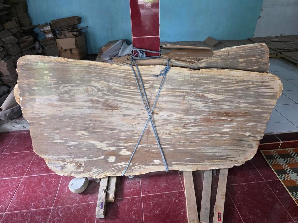 Grote Versteend Hout Tafelblad 165x80x6 cm met Onderstel, Overige houtsoorten, Nieuw, 150 tot 200 cm, Modern, Industrieel, Natuurlijk