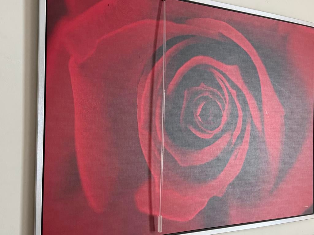 Gratis rozen schilderij, Ophalen