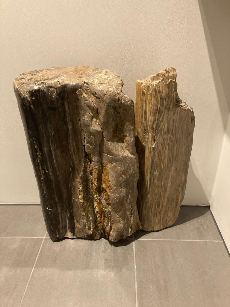 Versteend hout, Ophalen