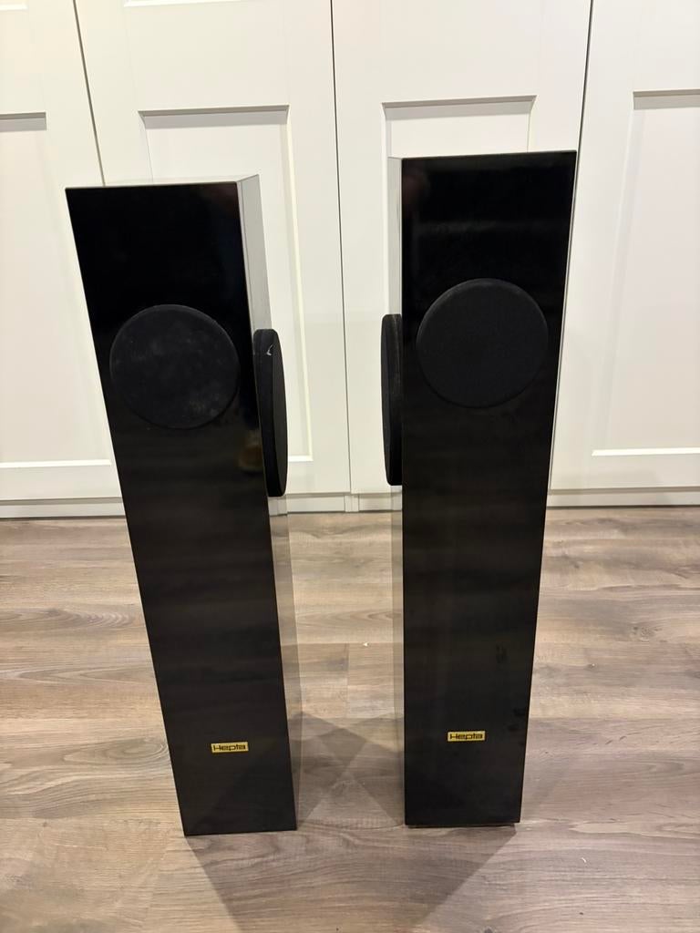 Hepta Spring Excellence speakers (2), Audio, Tv en Foto, Luidsprekers, Gebruikt, 60 tot 120 watt, Front, Rear of Stereo speakers