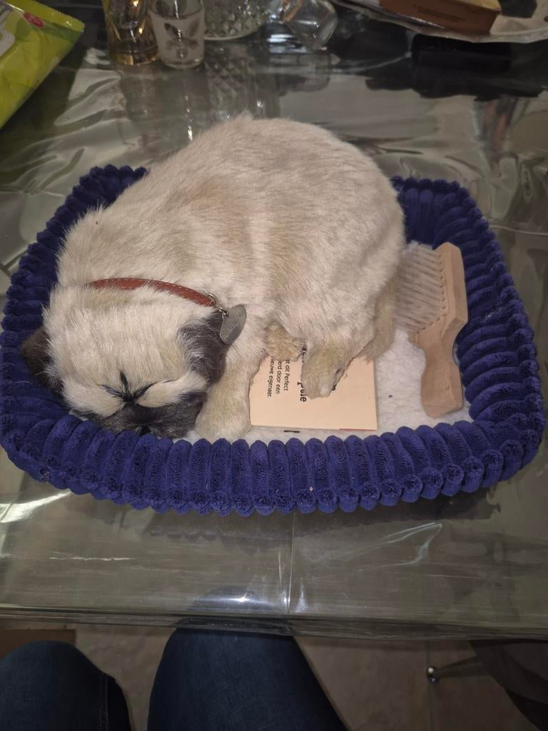 Perfect Petzzz Mopshondje met adoptiecertificaat, Ophalen