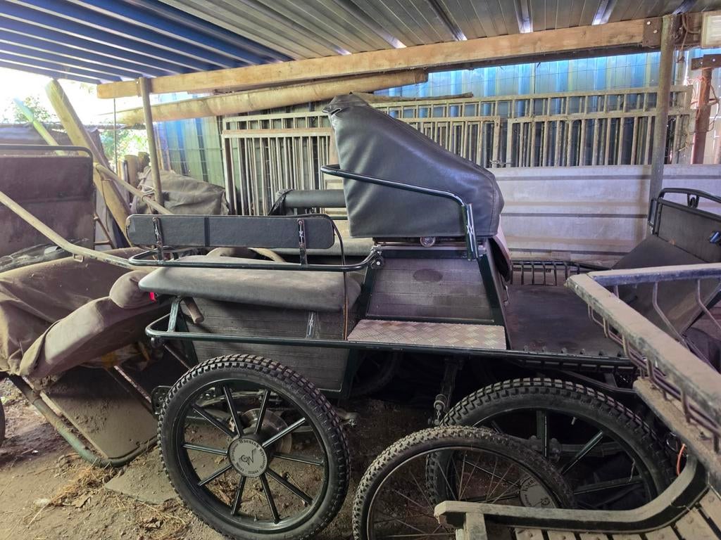 Recreatie wagen te koop enkel en dubbelspan, Marathonwagen, Pony