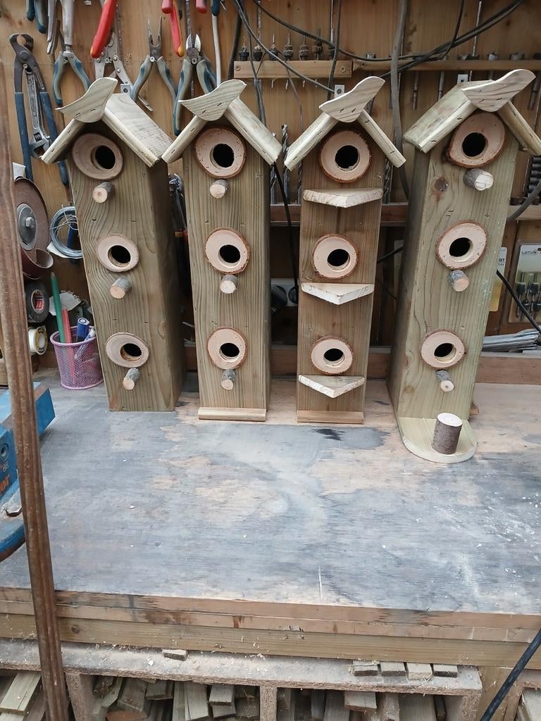 Mooie mussen hotels, Ophalen