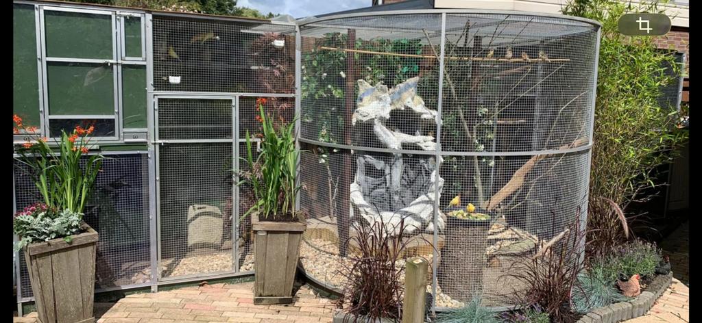 Mooie ruime unieke voliere, Dieren en Toebehoren, Vogels | Hokken en Kooien, Ophalen, Gebruikt, Aluminium, Volière