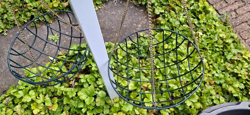 2 Hanging baskets, Tuin en Terras, Gebruikt, Minder dan 30 cm, Minder dan 60 cm, Rond