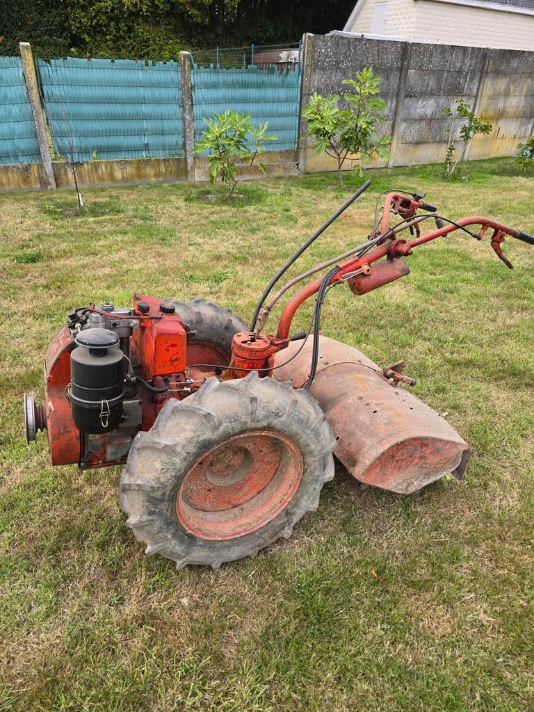 Tuinfrees Nibbi, Tuin en Terras, Hand-tuingereedschap, Ophalen of Verzenden