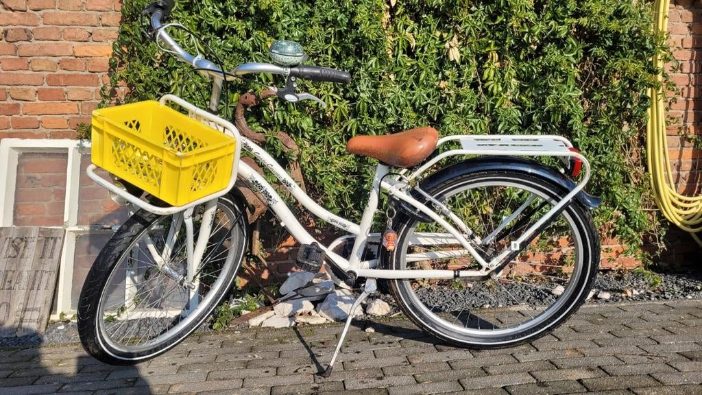 24inch transporterfiets, Ophalen, Versnellingen, BFK, Gebruikt