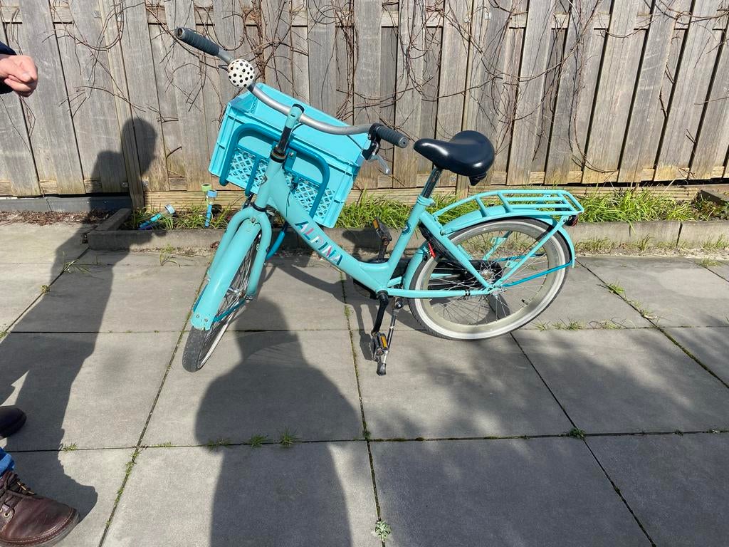 Leuke Alpina kinderfiets met krat, Ophalen of Verzenden, Gebruikt, 20 inch, Handrem