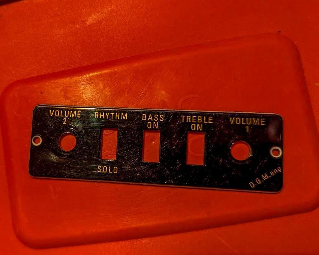 Hofner control panel plate, Ophalen of Verzenden, Zo goed als nieuw, Overige typen