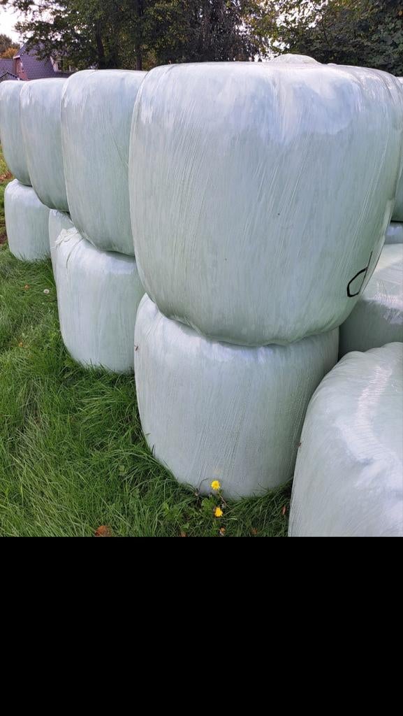 Midi balen hooi/kuilvoer, Zakelijke goederen, Agrarisch | Veevoer, Ophalen of Verzenden