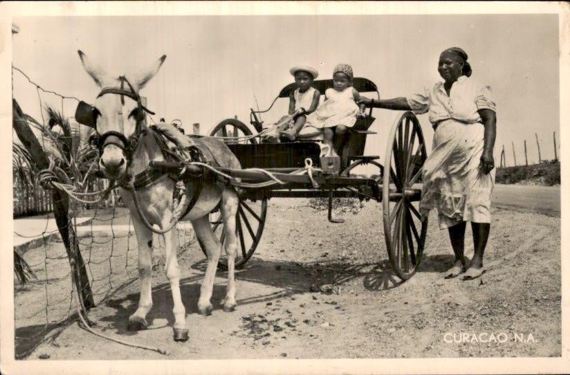 Curacao - Ezel en Wagen - 1950, Verzenden, 1940 tot 1960, Gelopen, Noord-Holland
