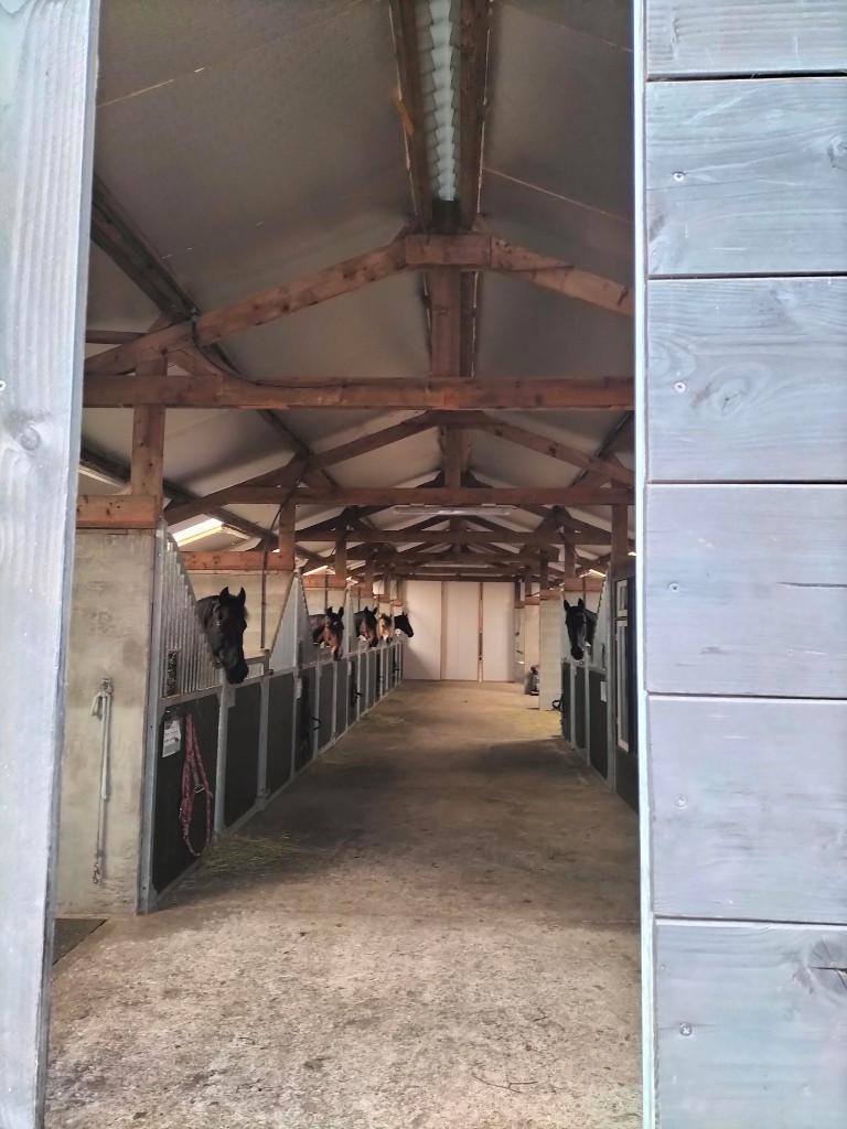 Vakantiestalling voor paarden en pony's, Stalling, 1 paard of pony