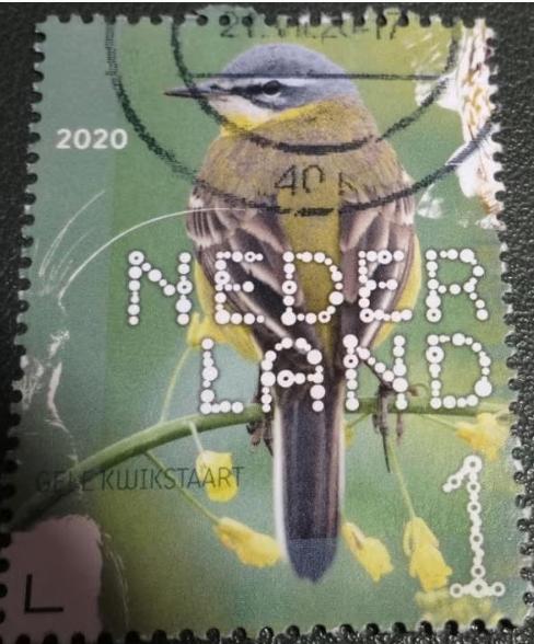 Beleef de Natuur - 3824 - 2020 - Gele Kwikstaart, Verzenden, Na 1940, Gestempeld