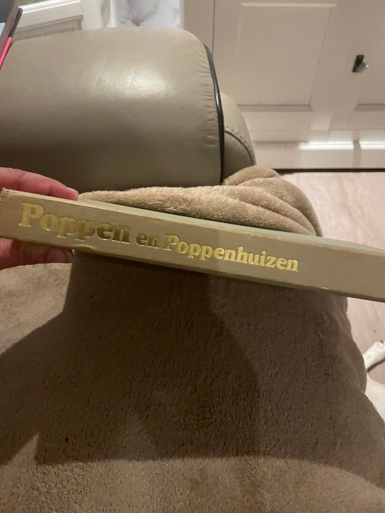 Boek poppen en poppenhuizen, Ophalen of Verzenden, Zo goed als nieuw