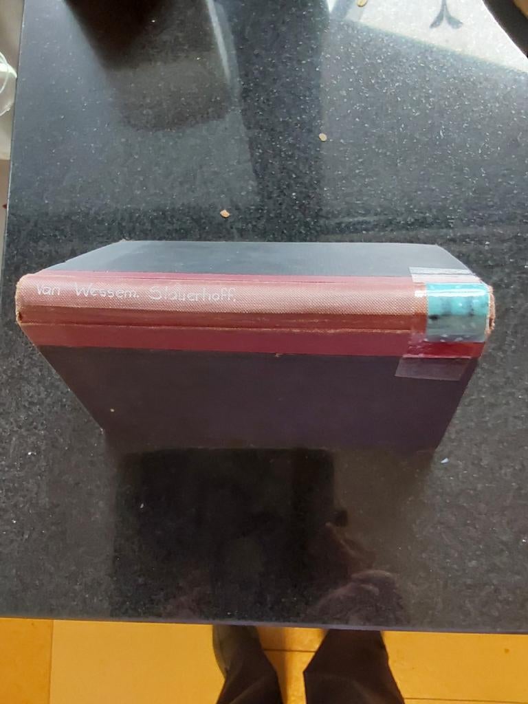 SLAUERHOFF Een Levensbeschrijving door Constant van Wessem, Ophalen, Gelezen