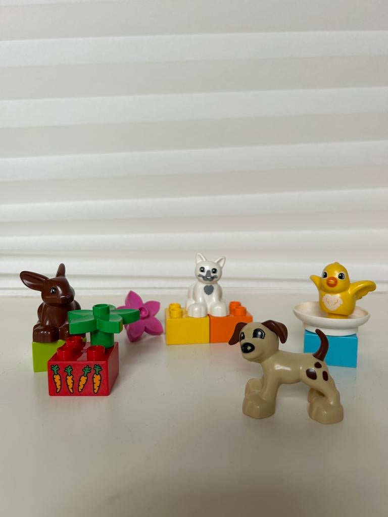 DUPLO 10838 Huisdieren - NIET COMPLEET, Ophalen, Zo goed als nieuw, Duplo
