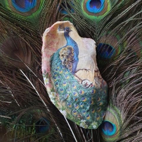 Oesterschelpen 10 stuks neutraal, Overige thema's, Overige typen, Nieuw, Ophalen of Verzenden