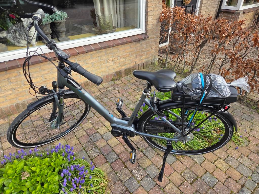 Giant entour ebike, Fietsen en Brommers, Elektrische fietsen, 51 tot 55 cm, Ophalen of Verzenden, Zo goed als nieuw, Overige merken