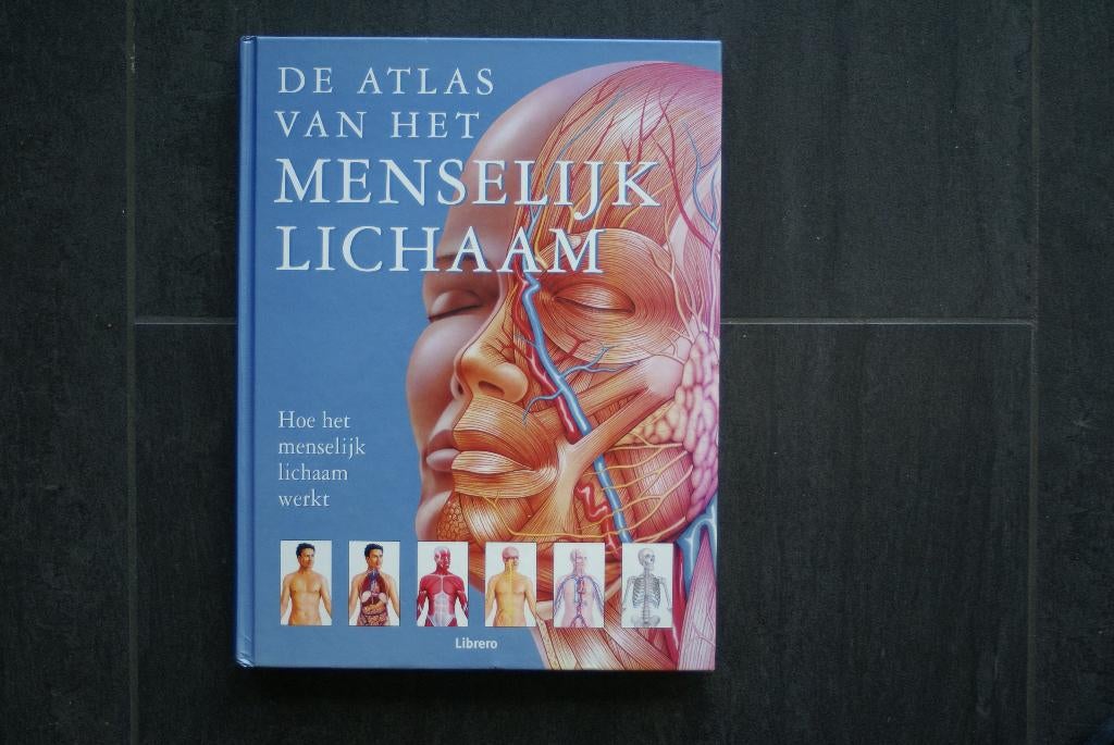 De ATLAS v h MENSELIJK LICHAAM:Hoe het menselijk lichaam wer, Boeken, Encyclopedieën, Ophalen of Verzenden, Zo goed als nieuw