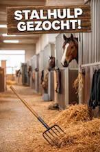 Stalhulp gezocht (3 tot 4 dagen per week) - Hoevelaken