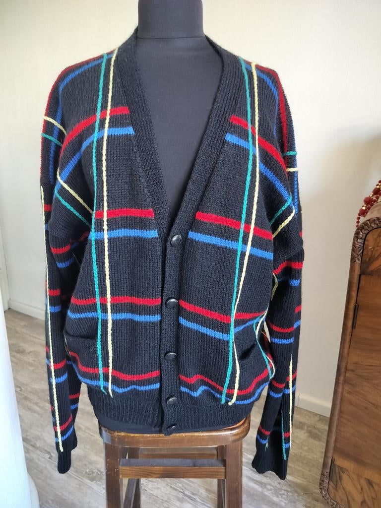Vintage wollen vest, Ophalen of Verzenden, Zo goed als nieuw, Blauw