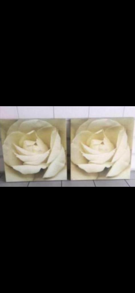 set:  2 MOOIE IKEA ‘PJÄTTERYD’ WANDDECORATIES, Ophalen of Verzenden, Zo goed als nieuw, Schilderij, Minder dan 50 cm