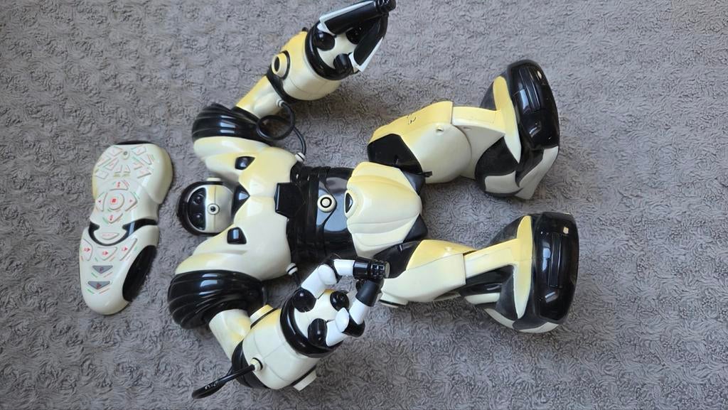 Robot voor verzamelaar, Ophalen of Verzenden