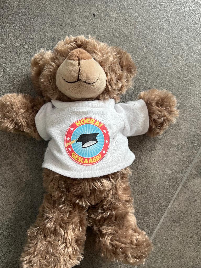Hoera geslaagd teddy beer knuffel, Ophalen of Verzenden, Overige typen