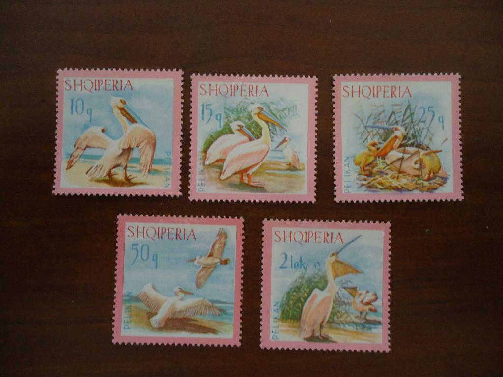 Vogels pelikaan Albanië 1967, mi. 1138-42 postfris/ongebruik, Ophalen of Verzenden, Postfris, Dier of Natuur