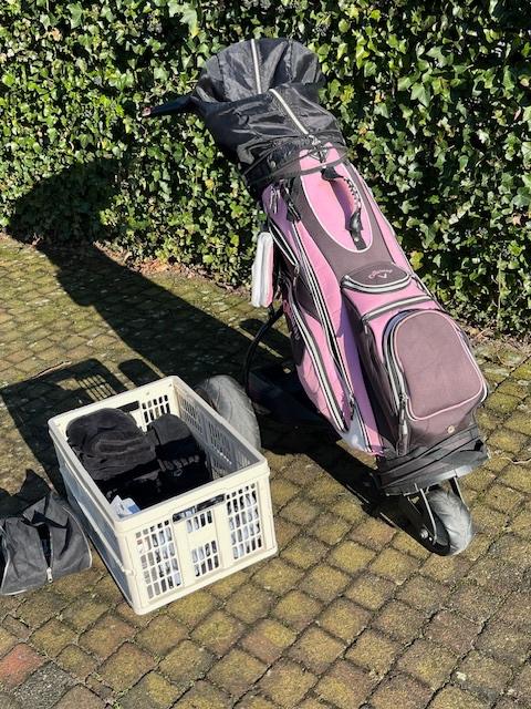 Mizuno dames golfset met electrische Motocaddy, Ophalen, Gebruikt, Set, Mizuno